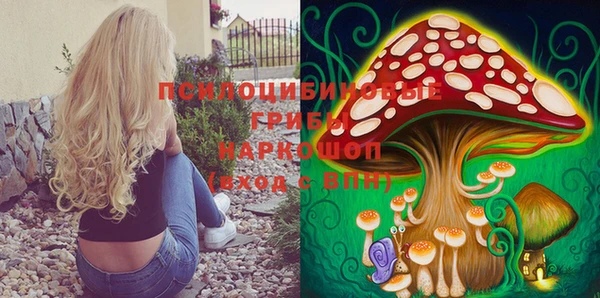 МДПВ Нефтегорск