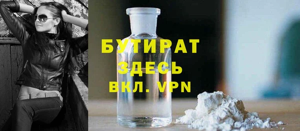 индика Арсеньев