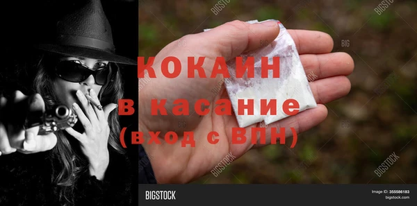 индика Арсеньев