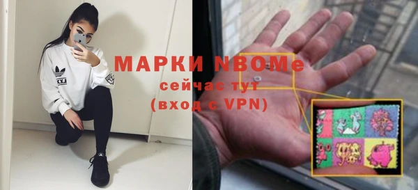 индика Арсеньев