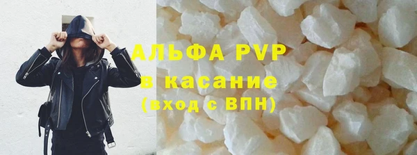 индика Арсеньев