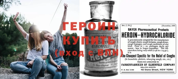 индика Арсеньев