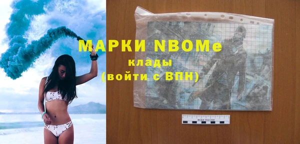индика Арсеньев