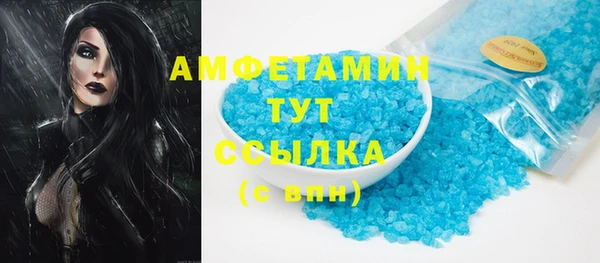 индика Арсеньев